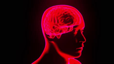 Gehirnhologramm-Mit-Rotierender-Kopfschleife-4k